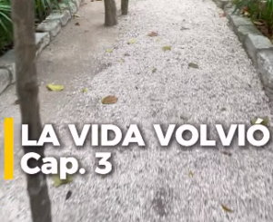 Lee más sobre el artículo La Resiliencia del Agua – Miniserie. Capítulo 3 — La Vida volvió